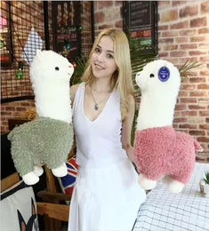 Kid Plush Toy Alpaca محشو ألعاب Doll Doll Kids Llama Figure Squishy Brinquedos Animal Toys Kids Girls Christmas Gift 38cm YL55599345