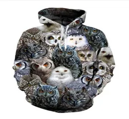 Neue Mode Harajuku Style Casual 3D Printing Hoodies Owl Männer Frauen Herbst und Winter Sweatshirt Hoodies Coats BW01741471113