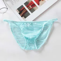 Underpants Men's Sexy Low Rise Stripe See Through Underwear Breathable Briefs Thong T-Back Striped Net Sex Appealing Hairy Panties