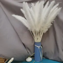 تصل الزهور المزخرفة 2024 Pampas Grass Flores Secas حقيقية أسود أبيض رمادي اللون الأزرق الأزرق اللون لديكور الزفاف