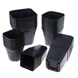 10pc siyah renkli saksılar ekleyiciler pot tepsileri plastik tencere yaratıcı küçük kare kaplar için etli bitkiler için 7x7cm 55x55cm 240409