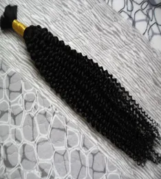 Bulk Afro Kinky Curly Braiding Hair 100 Sem Wet Human Human Bulk para trançar 100g sem trama Human Hair Bundles8466047