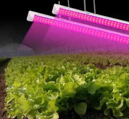 LED Grow Light Comple Full Output Design T8 مصابيح مصنع للمصباح المدمج للمصانع الداخلية 2ft8ft v 7827204