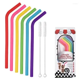 Drinking Straws 6pcs 2Brush/Set 23cm Colors Candy Color