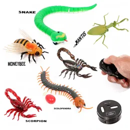 Controle remoto de infravermelho Brinquedos de insetos animais simulação Snake Beeeeeletric Robot Toy para Cat Dog Halloween Brincho