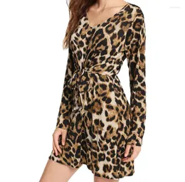 Lässige Kleider Spring Leopard Print V-Ausschnitt ausgestoßenes langärmeliges Kleid