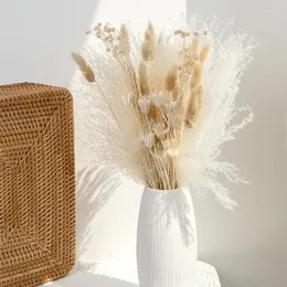 Dekorativa blommor naturliga torkade fluffiga pampas gräsbukett set boho heminredning liten vass födelsedag bröllop dekorationer ramo flores secas