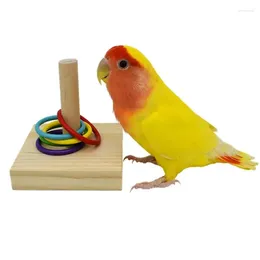 Andere Vogelversorgungen Training Spielzeug Set Holzblock -Puzzle für Papageien farbenfrohe Plastikringe Intelligenz kauen Spielzeug
