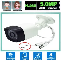 IP -камеры IP -проволочная камера Мониторинг INEATE Мониторинг камеры безопасности водонепроницаемый 1080p видео AHD Home Outdoor Security Camering 24413