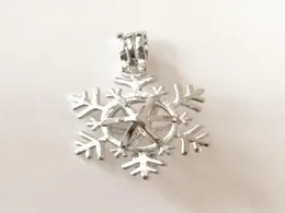 Noel Kar Tanesi Stil Madalyon Kafes Kolye DIY Kolye Bilezik için İnci Boncuk Kolye Montajı Güzel Charms9318654