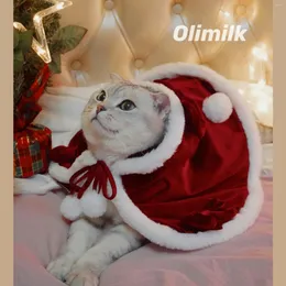 Dog Apparel Lolita Little Princess - Pet Cap Cat Autumn Winter Christmas Year Roupas