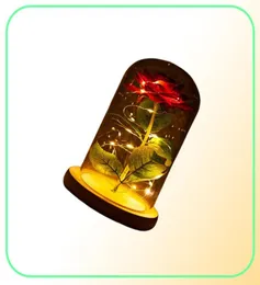 Romantik Ebedi Gül Çiçek Glass Kapak Güzellik ve Canavar Led Bataryalı Lamba Doğum Günü Sevgililer039s Gündüz Hediye Ev Dekorati5213240