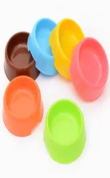 Candy Color Plastic Dog Reabinging Bowls Cat Puppy Food prato Pet Drink Water Non Slip Alimentador de alimentação6754790