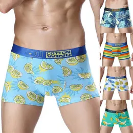 Underpants Jodimitty 2024 Arrivo Underwear Cotton Cotton Modal Soft Boxer Fashion Stampato da uomo Comfort trasparato da uomo sexy