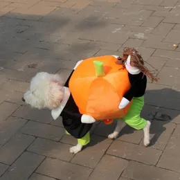 Костюмы для любителей собак костюмы для собак Хэллоуин