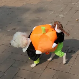 Vestuário de vestuário para cães figurinos de figurino