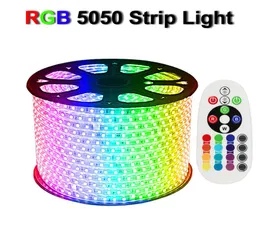 5050 RGB Led strip light 110V 220V 60led M Waterproof Flexible LED RGB Neon Light Power Supply IR Remote Control Christmas Holiday4559217