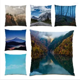 Pillow S Capa Presente de feriado Casos de estilo nórdico Sofás de veludo para o realismo de decoração da sala de estar 45x45cm Bedroom E0992