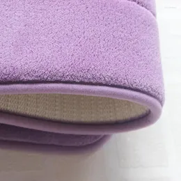 حصيرة حمامات Memory Foam Foam Foam Soft Fleece Process Evalet Solid Wc Rug