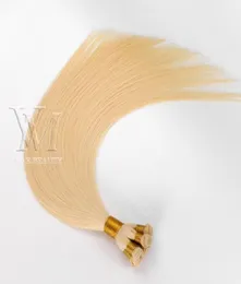 VMAE 13A European Salon Hair Wefts Handtied Double Drawn 100g Russian Virgin Handtied Hand bunden HANNDTIED WEFT EXTENSIONS4143760