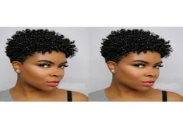 Miękka krótka krojona Kinky Curly Perg African Ameri Brazylijska Symulacja włosów ludzka Krótka Kinky Curly Peruka dla kobiet w magazynie 80570058257591