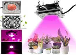 新しい600W LED Grow Light Light Cob成長ランプフルスペクトル成長ランプ屋内植物の冷却ファンを備えた屋内植物の成長ランプ7813226