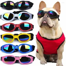 ملابس الكلاب 6 ألوان طية نظارات كلاب الحيوانات الأليفة تمنع الأشعة فوق البنفسجية للقطط الأزياء النظارات الشمسية