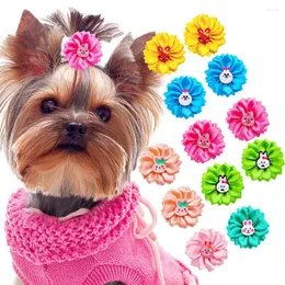 Abbigliamento per cani 12 pezzi di fiocchi fatti a mano per cani di cima