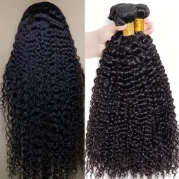 レベッカインディアンキンキーカーリーバンドルヘアナチュラルブラックバンドル100％Remy Humanは3または4 240408を購入できます