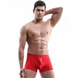 Underpants homens roupas íntimas respira separação escrota fisiológica masculina boxers respirável calcinha ropa interno hombre