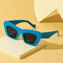 Şık güneş gözlüğü, modaya uygun kedi gözleri, UV dirençli güneş gözlüğü, kadın kişilik kare sokak fotoğrafı güneş gözlüğü