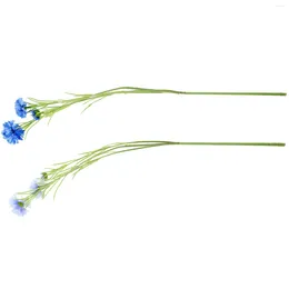 Dekoratif Çiçekler Yaşamcı Çiçek Buket Simülasyonu Araba Cornfower Articales Decorativas Para Para Sicks