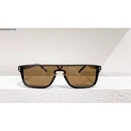 Óculos de sol clássicos waime lentes brownbrown lentes piloto de sunnies moda para homens mulheres sol proteção UV