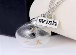 Wholesale-DoreenBeadsh bottle necklace Real Natural Dandelion Water Drop Bottle Botanical Pendant long Necklace a wish Woman4420460