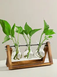 Vasen hydroponische Pflanze Holzrahmen Vase Wassertropfen Glasanordnung Blume Home Gartenableitungsraum