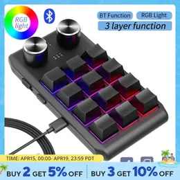 Programação Macro Custom 2 Knob Bluetooth Teclado RGB 12 Chave de key Colar Mini Button Gaming Keypad Swap Macropad 240415