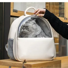 Carriers di gatti spalle in uscita zaino di alto valore vettore trasparente visibile per sacchetto di trasporto ventilato e traspirante