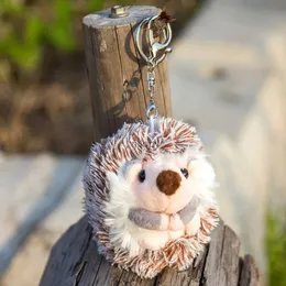 مفاتيح مفاتيح Lanyards Cartoon Hedgehog Doll Pendant Chain Chair Charms Kawaii Accessories Pendant زوجين هدية الهاتف Charm Carke -Cheain Wholesale