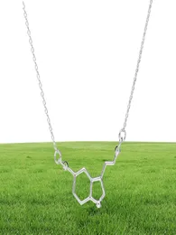 1 chemical molecular structure pendant necklace formula 5HT geometric exquisite nurse simple Lucky woman mother men039s family5917990