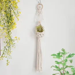 Tapestries Macrame Air Plant Hanger Mini Basket Wall شنق النباتات النضرة العشب Tillandsia Holder Boho Decor Indoor Outdoor Home Decor