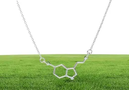 1 kemisk molekylstruktur hänge halsband formel 5ht geometrisk utsökt sjuksköterska enkel lycklig kvinna mor men039s familj9595667