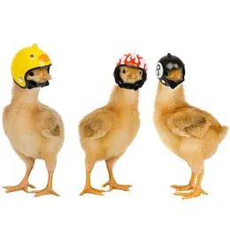 Casco di pollo divertente piccolo uccello anatra quaglia cappello duro copricapo, impedire al pollo di proteggere per le galline