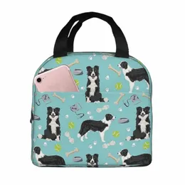 Border Collie Tennis Lanch Sagchs portáteis Oxford Sacors Cooler Bags Dog Térmico lancheira Piquenique para mulheres D8VK#