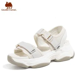 Золотая верблюда женская сандалия лето 2023 модные туфли с толстой пляжной обувь для женщин с шлифовальными тапочками 240415