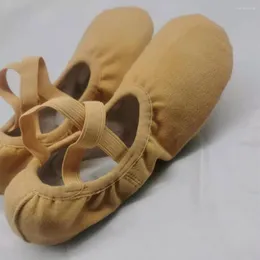 Sapatos de dança balé para mulheres garotas ginástica buty tênis de bailarina chaussure femme crianças dançando