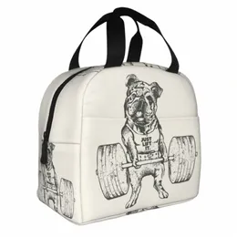 Lugar de lancheira inglesa Bulldog portátil Lunchar térmico portátil Térmico para mulheres para crianças trabalham escolar Piquennic Food Tote Sags V2HW#