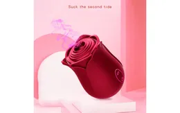 Sex Toy Massager Dual Rabbit Soft Touch Silicone Vibrator Massager med 10 vibrationsinställningar Klitoris Stimulator Sexleksaker för kvinnor