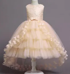 Neue Mädchen Kleid im Hinterkopf Pettiskirt Blumenmädchen Bankettparty Jungen formelles Kleid6924387