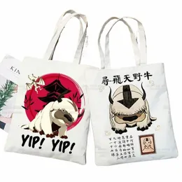 Appa yip yip carto canvas на плечах сумки сумки аватар Последний авиабендер Eco многоразовый сумка для магазина винтаж Ulzzang Bags K4JM#