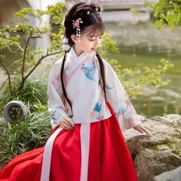 Kleidungssets Frühlings Sommermädchen Hanfu Ancient Clothes Set Kinderrock Chinesischer Stil Chinesischer Stil Sticked Performance Fairy Kleideranzug